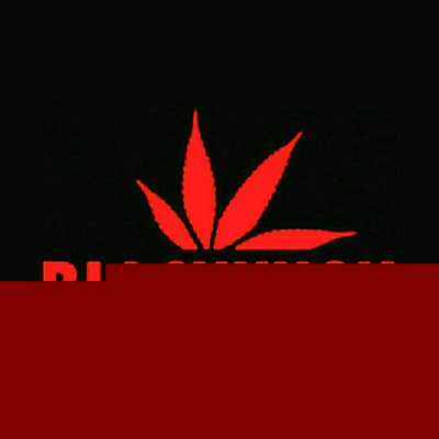 Black Kush Radio Logo