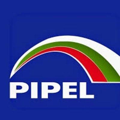 Pipel FM Logo
