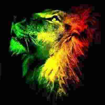 Reggae Starz Radio Logo