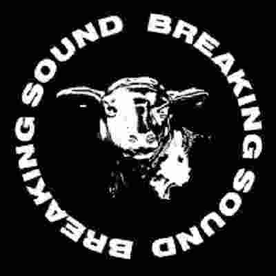 Breaking Sound Radio Logo