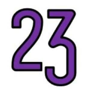 23 Indie Street Logo