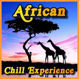 African Chill Experience Logo