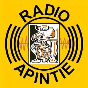 Apintie Radio 97.1 FM Logo