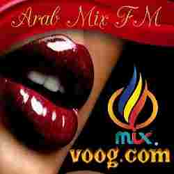 Arab Mix 320 Logo