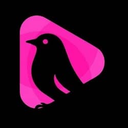 Àwòko Radio Logo