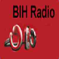 BIH Logo