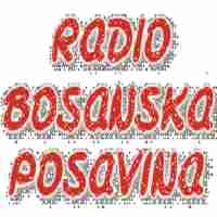 Bosanska Posavina Logo