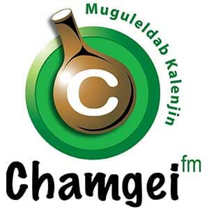 Chamgei FM Logo