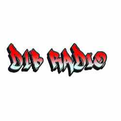 D1B Radio Logo