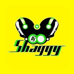 Dj Shaggy Venezuela Logo