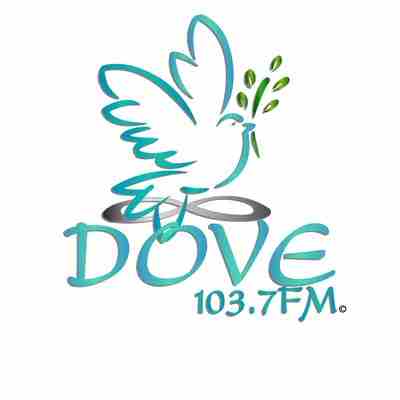Dove 103.7FM Logo
