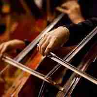 Just Playing Haydn Logo