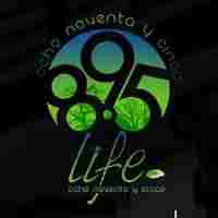 Life FM Logo