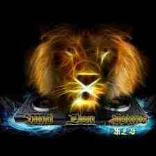 Mad Lion Radio Logo