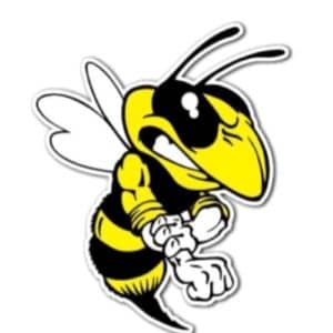 Mad Wasp Radio Logo