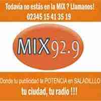 Mix Saladillo Logo