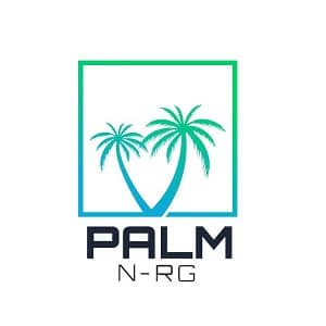 Palm N-RG Logo