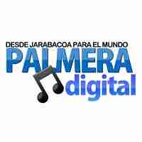 Palmera Digital Logo
