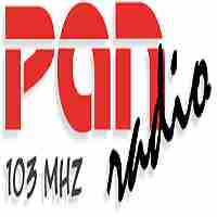 Pan Logo