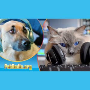 PetRadio Logo