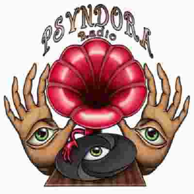 Psyndora Chillout Logo