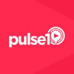 Pulse 1 Logo