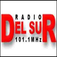 Radio Del Sur Logo