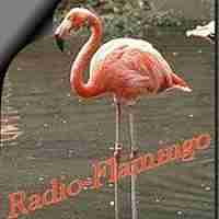 Radio Flamingo Logo