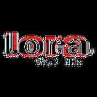 Radio Lora Logo