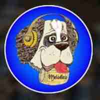 Radio Melodia Logo
