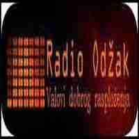 Radio Odzak Logo