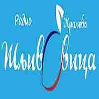 Radio Sljivovica Logo