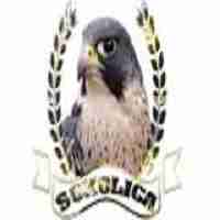 Radio Sokolica Logo