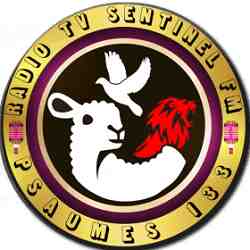 Radio Tele Sentinel Logo