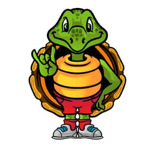 Savvy Turtle Rocks Logo