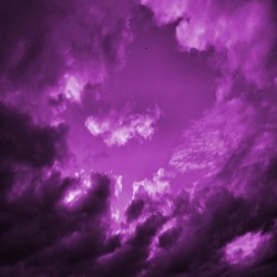 The Purple Zone Logo