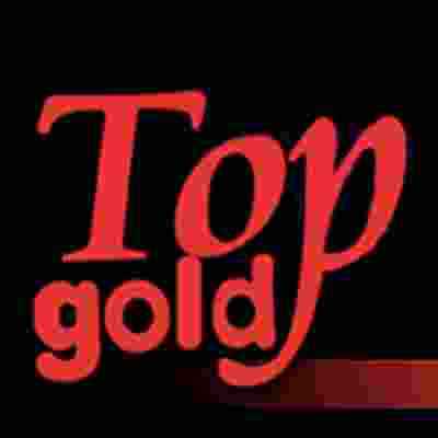 Top Gold Logo