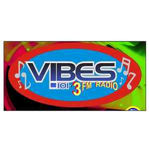 Vibes 101.3 FM Logo