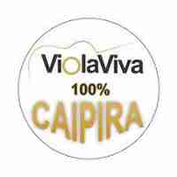 Viola Viva Logo