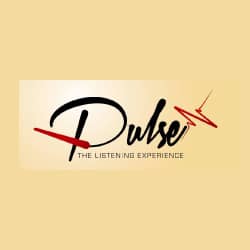 WPUR – PULSE INT’L RADIO Logo