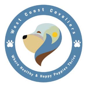 West Coast Cavaliers Radio Logo