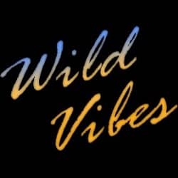 WildVibes Radio Logo
