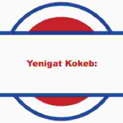 Yenigat Kokeb Logo