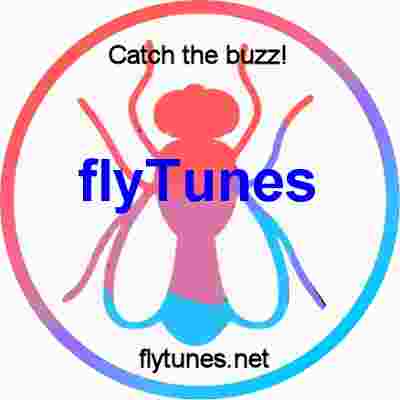 flyTunes Logo